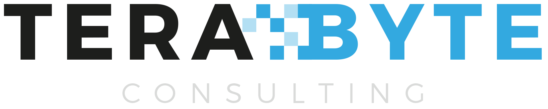 TeraByte Consulting